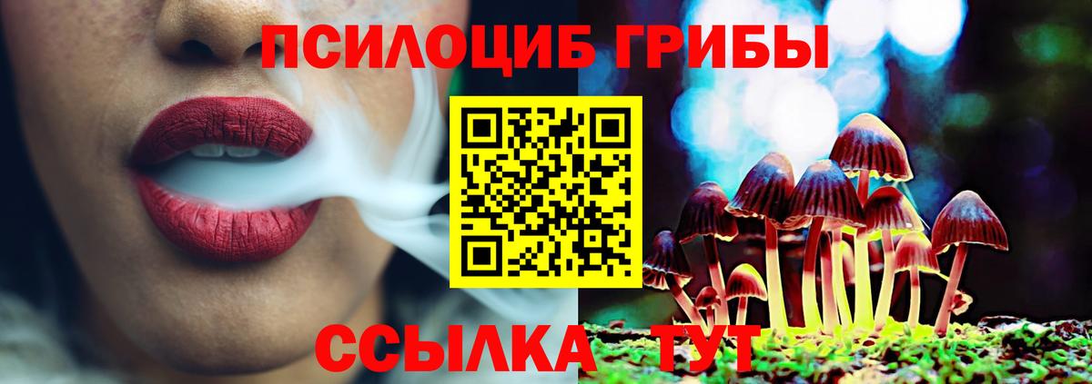 Псилоцибиновые грибы ЛСД Новочеркасск